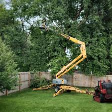 Blair, WI Tree Services Company