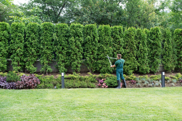 Best Lawn Drainage Solutions  in Blair, WI