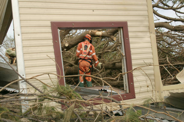 Best Utility Line Clearance  in Blair, WI